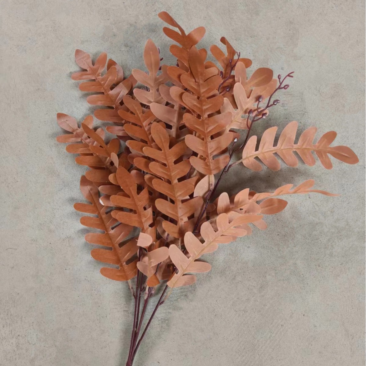 Feuille de criquet brun