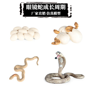��ͯ����ɳĮ����ģ�����Є�����������R���β�߳��L�������