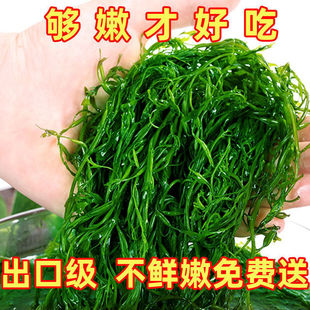 �}�n�Rβ�庣�ݱ��ڹS�������L�۲˛��������C��側������