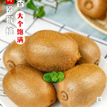 �������J�����殐�������G�����rˮ���������ЋD�J����������]