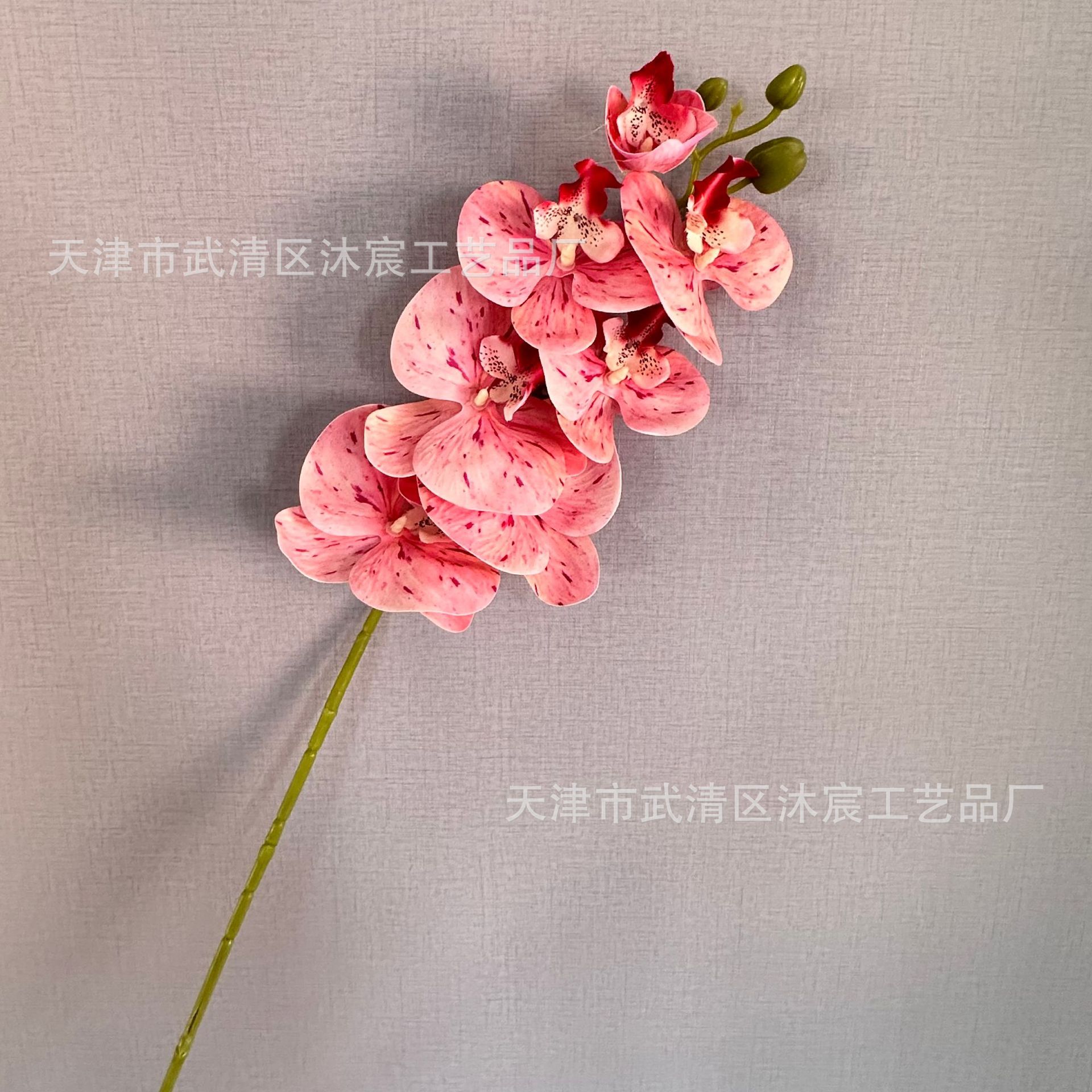 3D 7-cabeza Phalaenopsis mano-sensación de película Phalaenopsis venta al por mayor boda hogar decoración floral tiro flor material