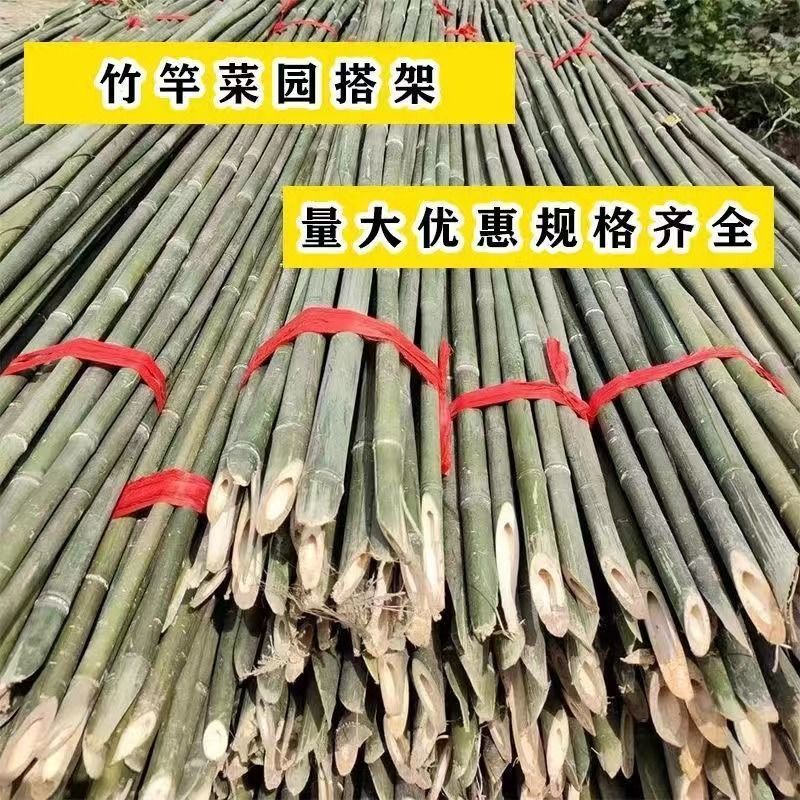 竹竿菜园搭架蔬菜黄瓜番茄豆角架杆竹篱笆栅栏小竹子细竹竿爬藤架|undefined