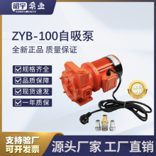 늄ӳͱ220VʴX݆ü͙Cݔͱó