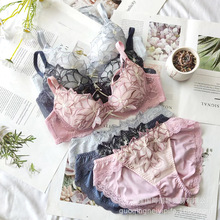 2022ļ¿ٽz߅ԸЃb ϵȦEFֱ؃ѝ