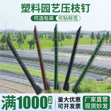 �羳��֦ᔲ�ƺ߅��ֲ���ᔷ��ݲ����x��ĥ߅�^�������ӹ̶���