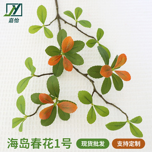 ���u����1̖����ֲ����R����~ins�L�W�t���޼Ҿ��b��������l