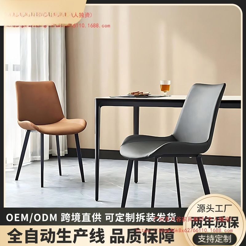 Modern Minimalist Metal Dining Chair, Light Luxury Italian Style, Suitable for Living Room Home Dining Table, Furniture Chair with Backrest, Same Model as Popular on Social Media