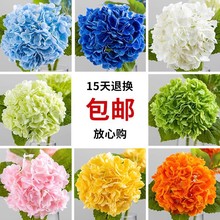 仿生干花绣球花仿真花蓝色保湿手感花束客厅摆件假花摆设插花装饰
