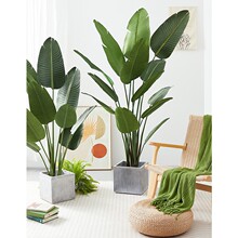 ���W���ͷ���Gֲ��ֲ�����Ԕ[�����˽�ɢβ�����҃���ؙ����b�