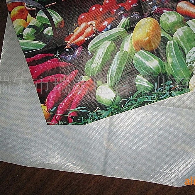 供应OPP彩印编织布PP彩印布彩色印刷布购物袋面料布