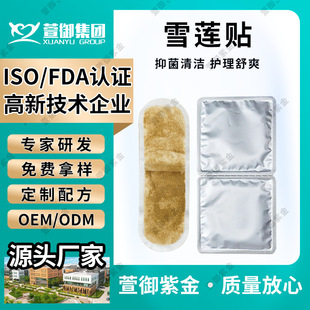 Snow Lotus Patch Pad Manufacturer Snow Lotus Mugwort Genuine Pad Brand Female Ecological Care Pad Private Part Care Pad