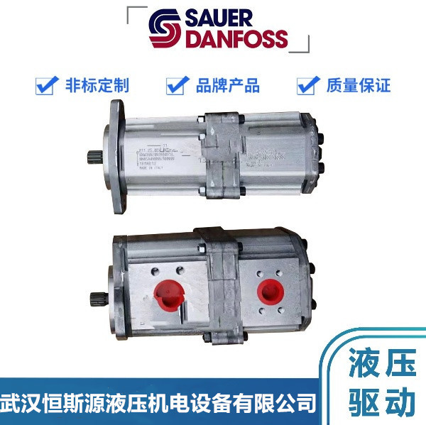 丹佛斯齿轮泵SKP2NN/011LN06SBP1E6E5NNNN/NNNNN