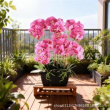 �¿�羳���������m����Ȼ�������m�|��ˮ����̦ʯ������̦�\����