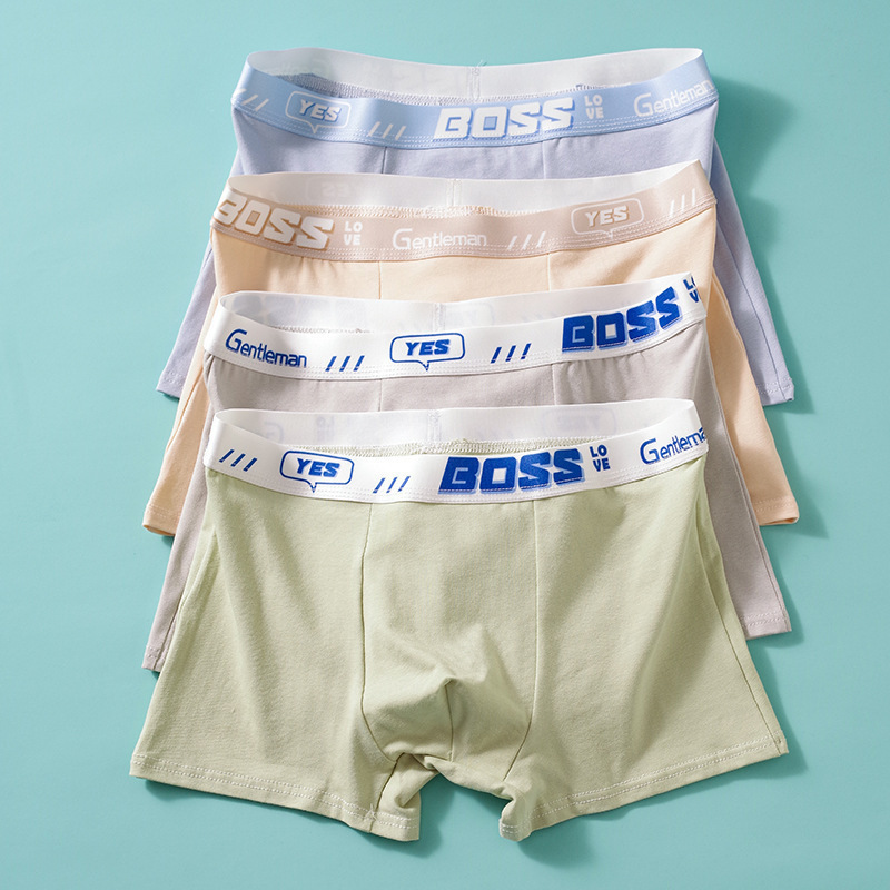 Teenage Development Period Boys' Pure Cotton Boxer Briefs Boxer Briefs Breathable Student Underwear High Elastic Boxer Shorts