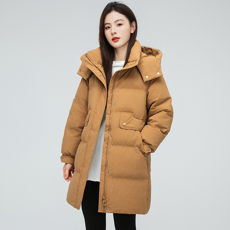 호박 오렌지