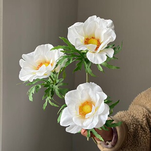 �羳���N��Ʒ�|��֦���^�̷��滨Ʒ�|؛ԴԴ�^���S���lܛ�b����