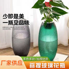 大号菩提玻璃花瓶高颜值 摆件ins风客餐厅花瓶插花高级感装饰品