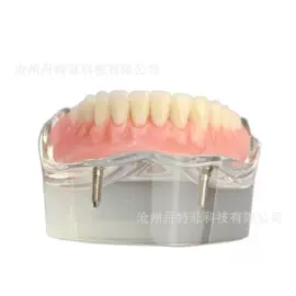 其他口腔护理;口腔护理套装;医药教学器材