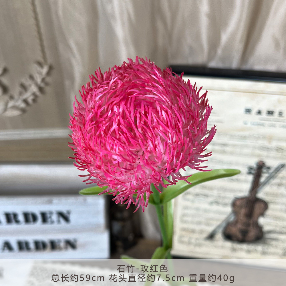 2018-ดอกเดียนธัส-สีแดงกุหลาบ
