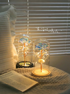 ���նY����Ů�����ы�����С�����ø߼�������õ�廨��520���˹�