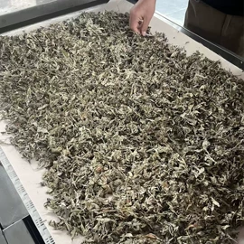 微波干燥设备;其他干燥设备;食品杀菌设备