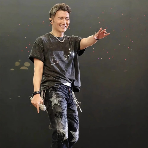 Xie Qingfeng Evolution Concert Merchandise Same Version Short-Sleeve T-Shirt for Men 2025 Washed and Distressed Heavyweight Trendy Clothing