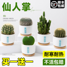 �����������������k���҃ȿ͏d��ݗ������߶˶���Gֲ���ļ�����