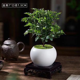 С�~��̴�����Ϙ��҃������辰�͏d�k�����ļ�������B�ڹǲ�Gֲ