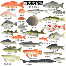 ��Ӽ��~�ﵶ�~�����~���^�~���~�N���~ģ�ͷ����~�[�������~ģ��