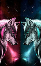 ��H�� �M� �ʯ���S��؛Դ