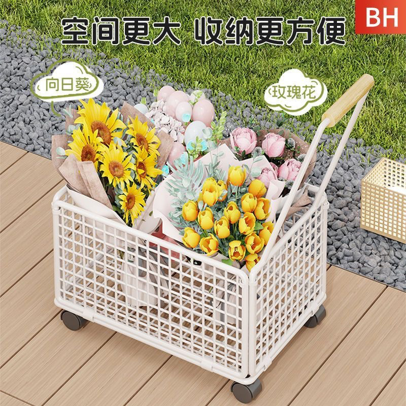 2aafb318-6eb2-4891-a5d2-86c9fddad51d.jpe