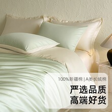 Aߙnȫ��ؕ��100�ļ��׼���ĥë�ļ����½��L�q������������