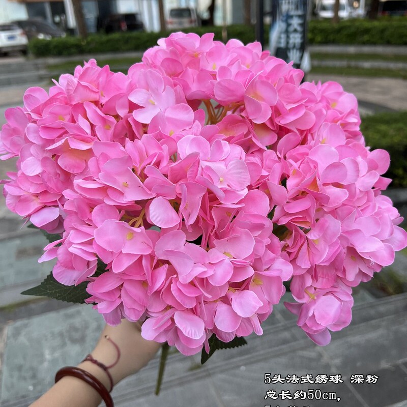 【シミュレーションアジサイ】外国貿易5頭フランスアジサイグリーンフランスアジサイ平が結婚祝いの花卸売りをしている|undefined