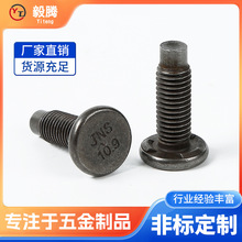 �S��8.8�����c�����ݽz��ɫ�����c��������c�F������˨��܇��˨