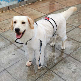 狗狗四脚透明雨衣泰迪金毛柴犬哈士奇小中大型犬宠物雨天防水衣服