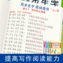 生字知识训练语文本