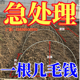 ���͹���֧�ܵ�Ĥ���x����ߏ��U��2��4���l������ܲ�����ҼܗU