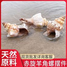 ���ݚ�ؐ�������l��̖ؐ����ˇƷ�w֮�Ǵ��l�~���쾰�[���Ҿ��L��