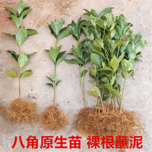 �V���˽���޽��簫���˽ǘ���������ڴ�t�_�R�N�˽Ǵ�����ľ