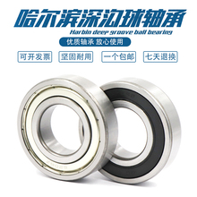 IS6200 6201 6202 6203 6204 6205 6206 6207ZZ RS