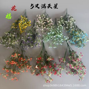 С�ѝM���Ƿ��滨�����������M���ǻ�����Y�b��û�ˇܛ�b