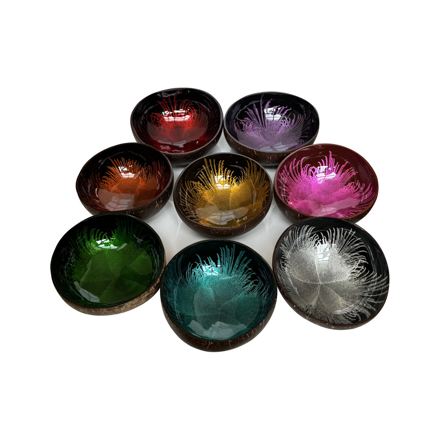 vietnam hallway key storage tray coconut shell bowl feather painted coconut bowl home decorative storage bowl