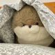 Seal Plush Toy Cute Bed Holding Sleeping Sea Otter Doll Super Soft Pillow Cloth Doll Aquarium Souvenir