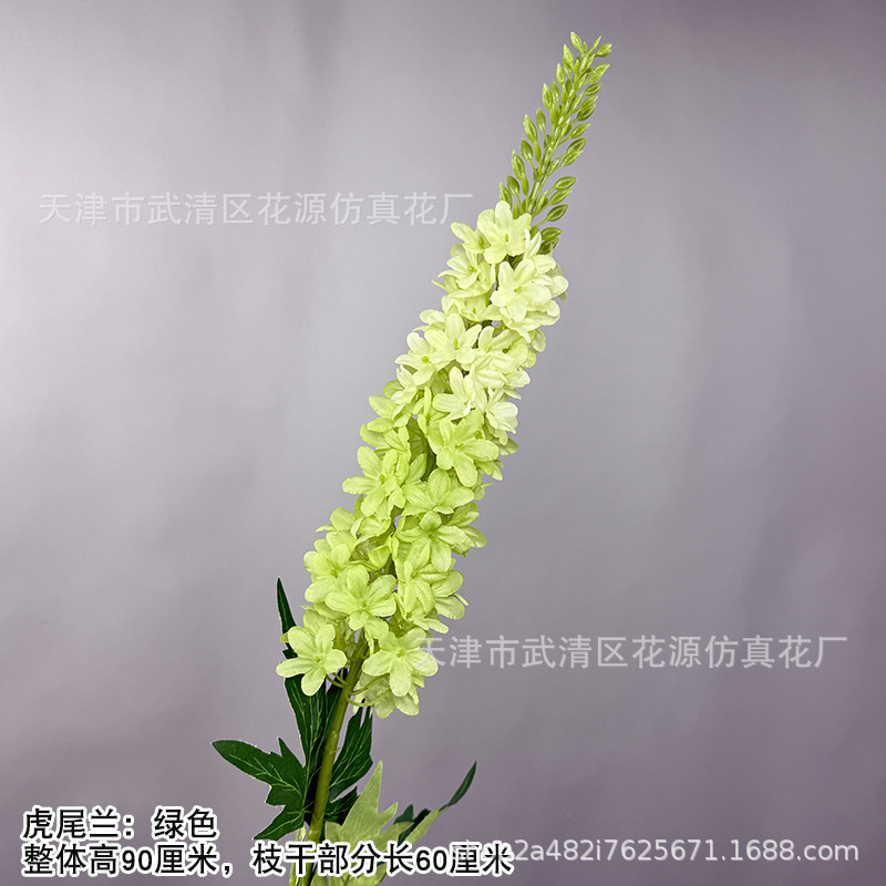 호랑이 꼬리 난초 - 녹색