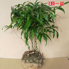 ����������҃��ļ����� �_�h���辰С�Ͱ��� ������J���^�p����