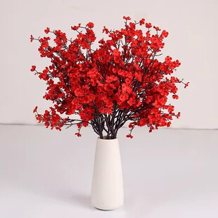 �M���Ƿ��滨5���D÷�廨�bٻ���Y�������Ҿ��b���������