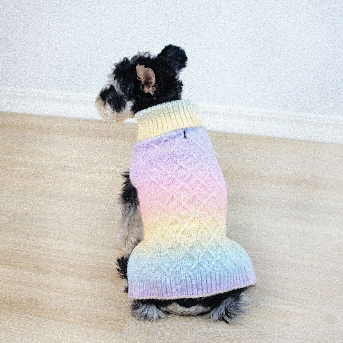 Nueva ropa transfronteriza para mascotas de otoño e invierno, suéter simple de cuello alto con gradiente de arco iris para perros, suéter para mascotas para gatos y perros