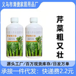 芹菜粗又壮芹菜拉长增粗嫩直粗壮鲜亮预防空心裂果高产专用叶面肥