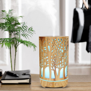 Factory New Creative Aroma Diffuser 180ml Ultrasonic Atomization Humidifier Home Indoor Study Air Purifier