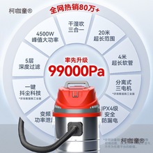 德国吸尘器工业用家用大吸力大功率洗车桶式美缝吸尘机麦太保